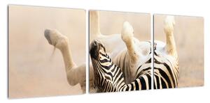 Obraz zebry (Obraz 90x30cm)