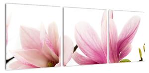 Kvetina - obraz (Obraz 90x30cm)