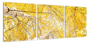 Jesenné lístie - moderný obraz (Obraz 90x30cm)