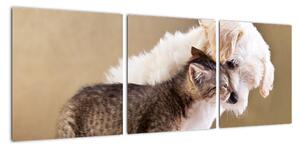 Mačiatko a šteňa - obraz (Obraz 90x30cm)