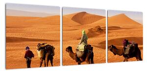 Ťavy v púšti - obraz (Obraz 90x30cm)