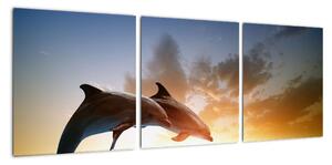 Delfíny - obraz (Obraz 90x30cm)