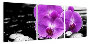 Obraz orchideí (Obraz 90x30cm)