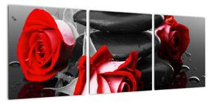 Obraz ruží (Obraz 90x30cm)
