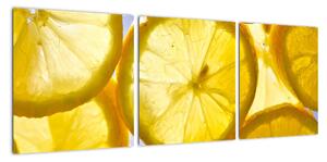 Plátky citrónov - obraz (Obraz 90x30cm)