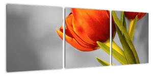 Obraz tulipánov (Obraz 90x30cm)