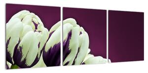Makro tulipánov - obraz (Obraz 90x30cm)