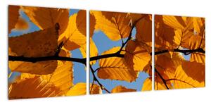 Jesenné lístie - obraz (Obraz 90x30cm)