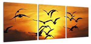 Obraz letiacich vtákov (Obraz 90x30cm)