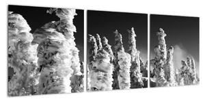 Obraz - zimné hory (Obraz 90x30cm)