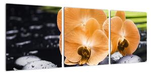 Kvet orchidey - moderný obraz (Obraz 90x30cm)
