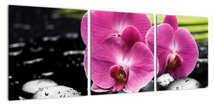 Fotka orchidey (Obraz 90x30cm)