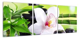 Obraz orchidey (Obraz 90x30cm)