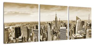 Panorama New York, obraz (Obraz 90x30cm)
