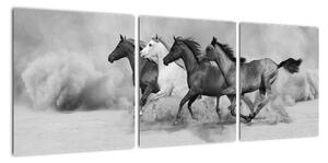 Obraz cválajúci koňov (Obraz 90x30cm)