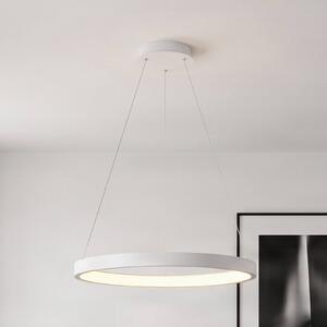 Arcchio LED závesné svietidlo Albiona, biele, 1 krúžok, Ø 60 cm, Biela / opálová, Kuchyňa, kov, Moderný, Závesné svietidlo