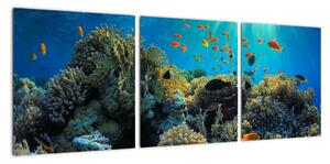 Obraz podmorského sveta (Obraz 90x30cm)