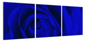 Detail modré ruže - obraz (Obraz 90x30cm)