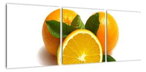 Pomaranče - obraz (Obraz 90x30cm)