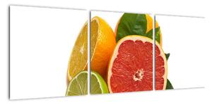 Citrusové plody - obraz (Obraz 90x30cm)