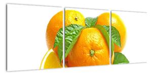 Pomaranče, obraz (Obraz 90x30cm)