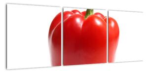 Paprika červená, obraz (Obraz 90x30cm)