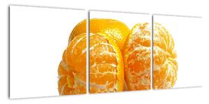 Pomaranče, obraz (Obraz 90x30cm)