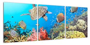 Podmorský svet, obraz (Obraz 90x30cm)