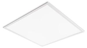 LED Podhľadový panel DAVRO LED/40W/230V 4000K UGR<19 59,5x59,5 cm biela