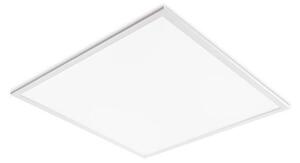 LED Podhľadový panel DAVRO LED/40W/230V 4000K 59,5x59,5 cm biela