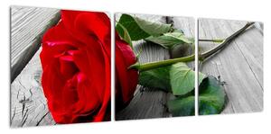 Obraz ruže (Obraz 90x30cm)