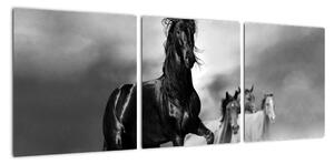 Čiernobiely obraz koňov (Obraz 90x30cm)