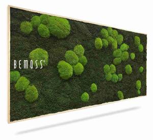 Machový obraz FLATMOSS & BOLMOSS Light Green - 40 x 40 cm