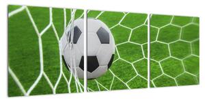 Futbalová lopta v sieti - obraz (Obraz 90x30cm)