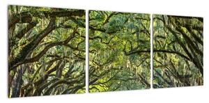 Aleje stromov - obraz (Obraz 90x30cm)
