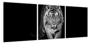 Čiernobiely lev - obraz (Obraz 90x30cm)