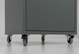 Sivozelená skrinka 40x60 cm Lipp - Tenzo