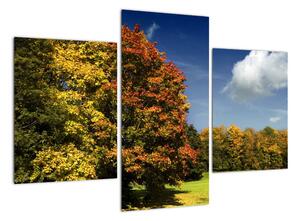 Jesenná krajina, obraz (Obraz 90x60cm)