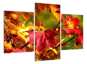 Jesenné lístie, obraz (Obraz 90x60cm)