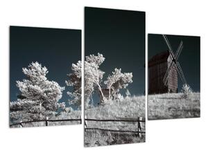 Veterný mlyn, obraz (Obraz 90x60cm)