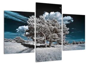 Strom v zime, obraz na stenu (Obraz 90x60cm)