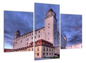 Obraz zámku (Obraz 90x60cm)