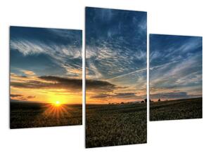 Západ slnka na poli - moderný obraz (Obraz 90x60cm)