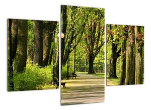 Cesta v parku - obraz (Obraz 90x60cm)