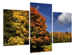 Jesenné stromy - moderný obraz (Obraz 90x60cm)