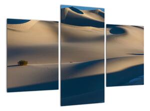 Púšť - obraz (Obraz 90x60cm)