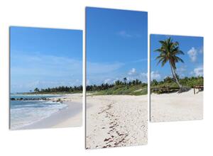 Exotická pláž - obraz (Obraz 90x60cm)