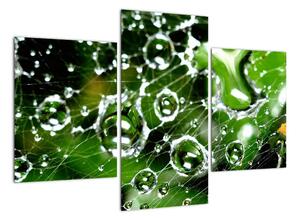 Kvapky vody - obrazy (Obraz 90x60cm)