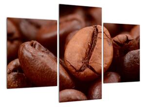 Kávové zrnko - obraz (Obraz 90x60cm)