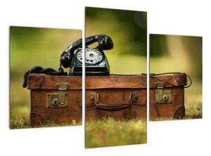 Telefón na kufri - obraz (Obraz 90x60cm)